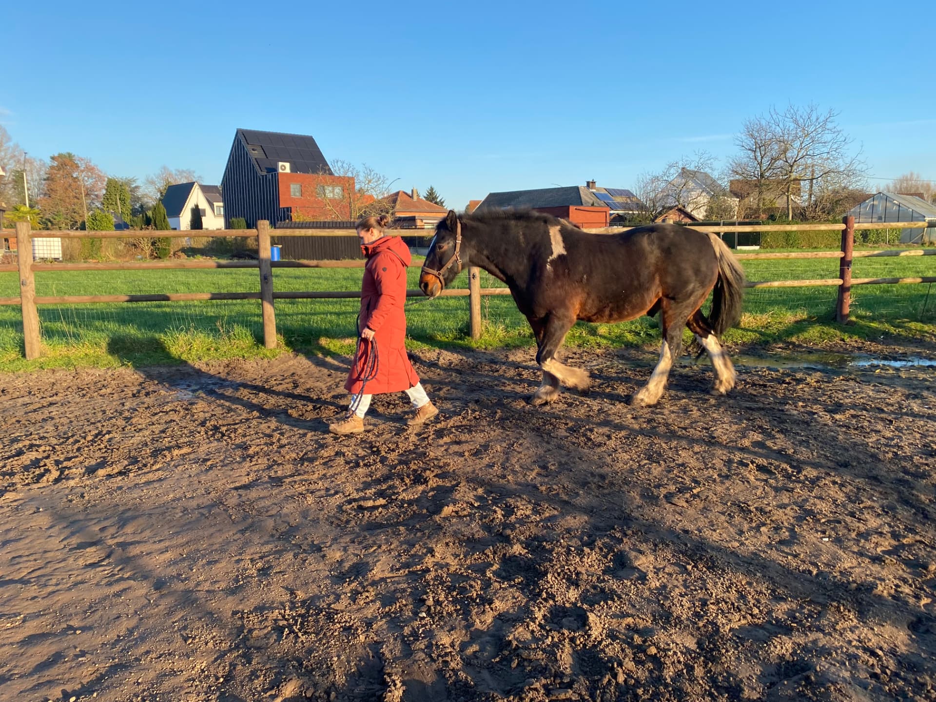 Laurence leidt een paard rustig aan de hand over de piste