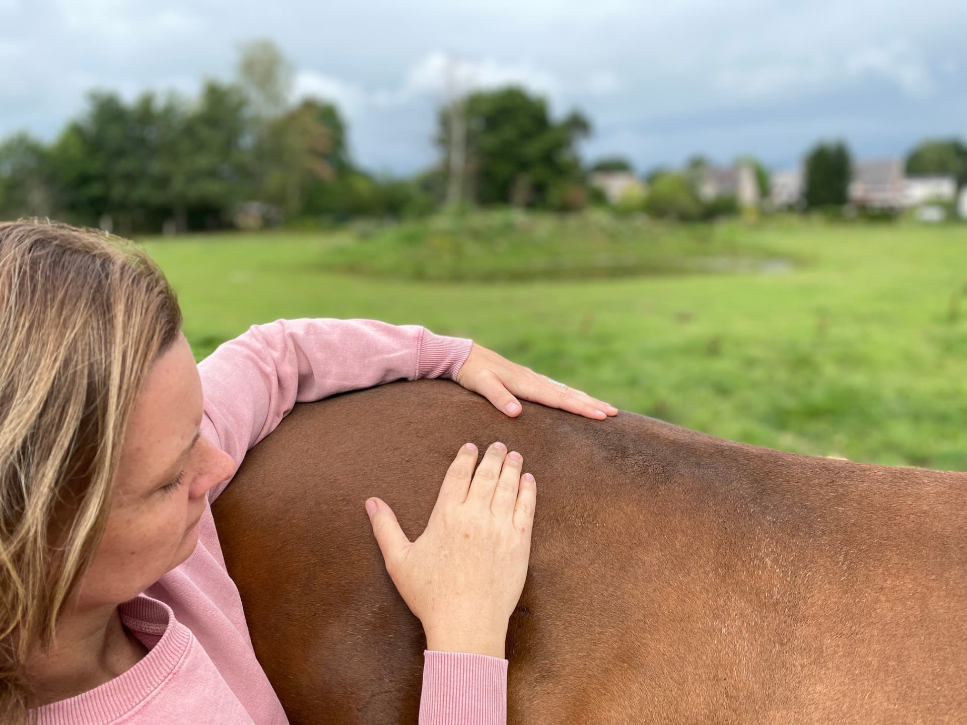 Handen rustig op de rug van een paard in de weide